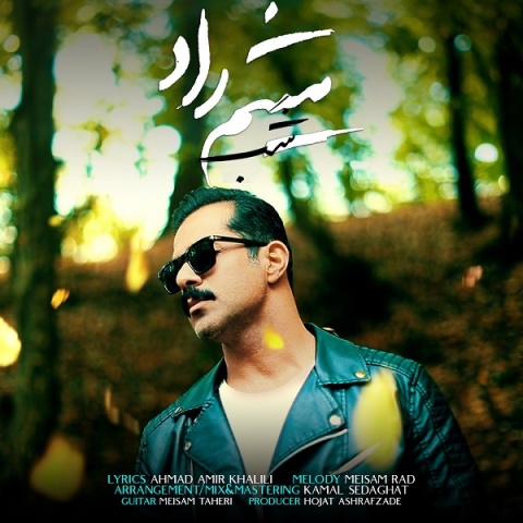آهنگ شب میثم راد