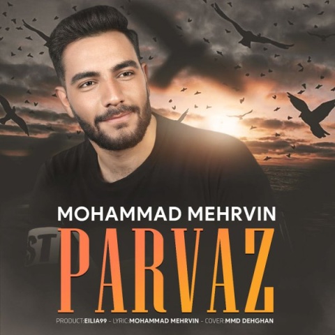 آهنگ پرواز محمد مهروین