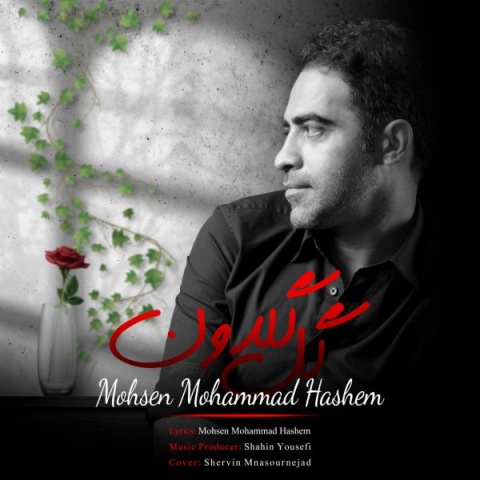 آهنگ گل گلدون محسن محمد هاشم