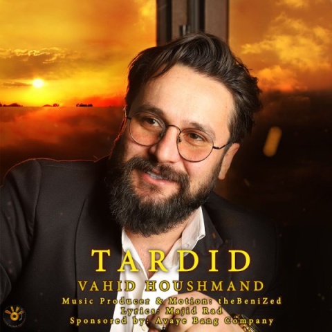 آهنگ تردید وحید هوشمند