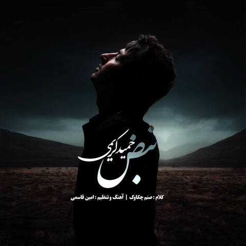 آهنگ بنام نبض حمید کریمی