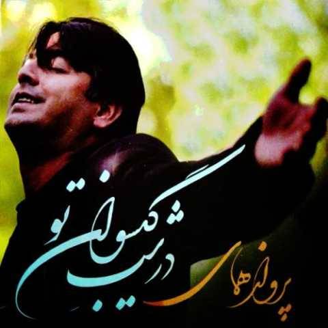 آهنگ درشب کیسوان تو پرواز همای