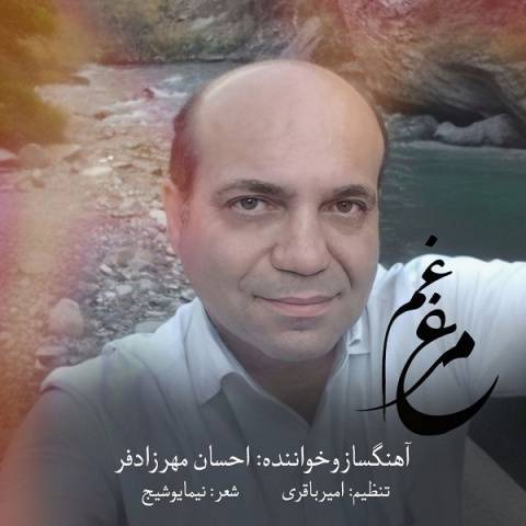 آهنگ مرغ غم احسان مهرزادفر