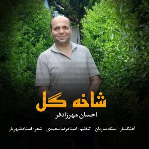 آهنگ شاخه گل احسان مهرزادفر