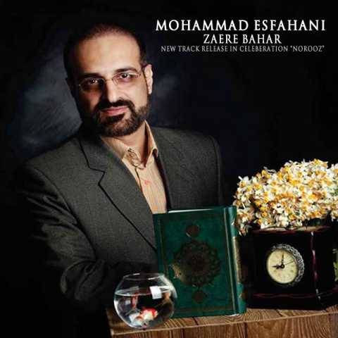 آهنگ زائر بهار محمد اصفهانی
