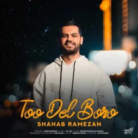 آهنگ تو دل برو شهاب رمضان