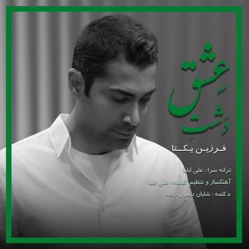 آهنگ دشت عشق فرزین یکتا
