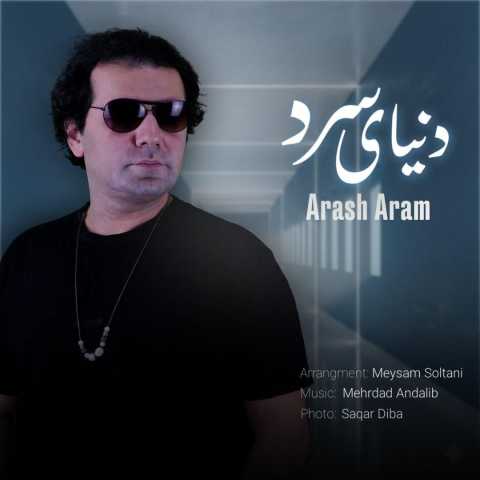 آهنگ دنیای سرد آرش آرام