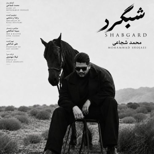 آهنگ شبگرد محمد شجاعی