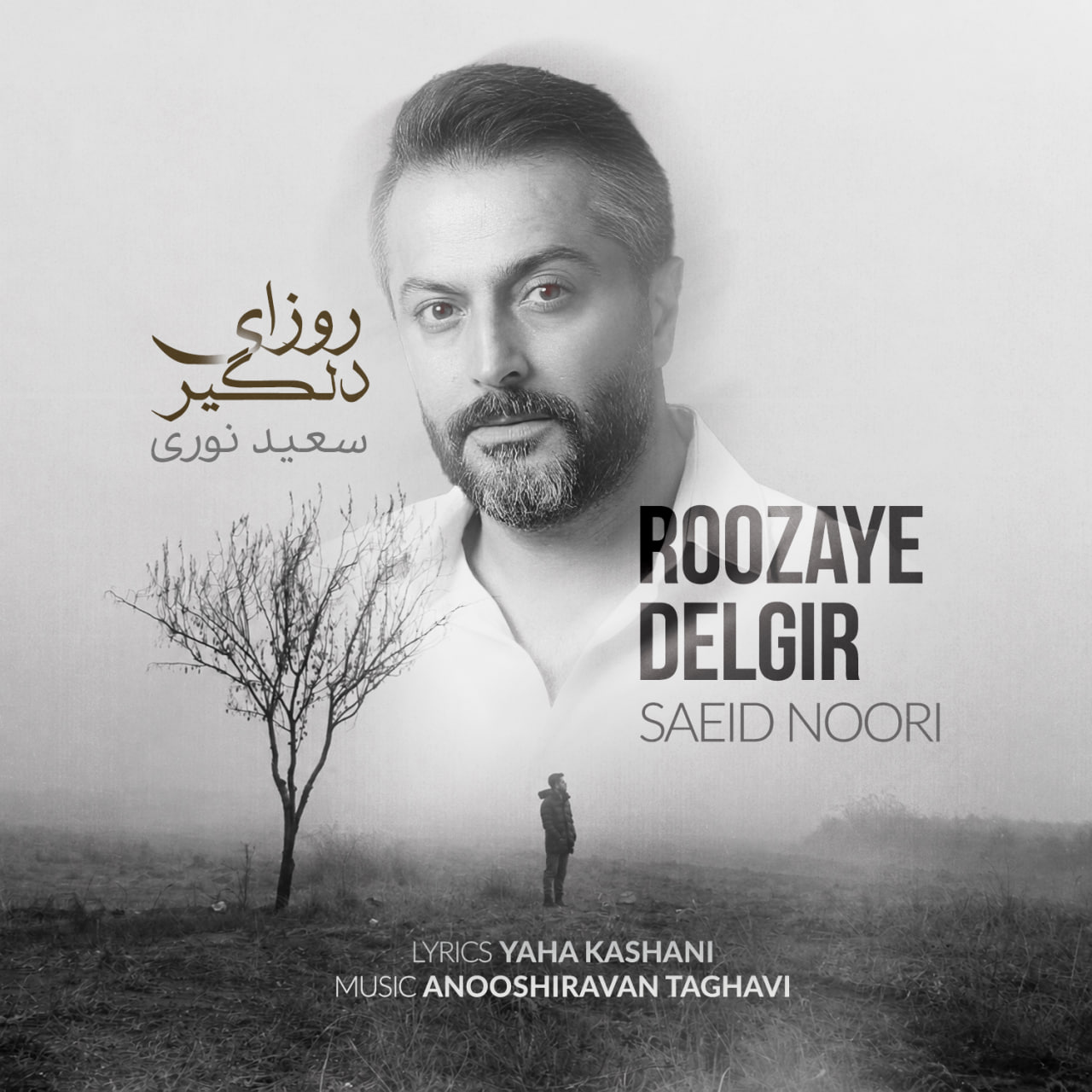 آهنگ روزای دلگیر سعید نوری