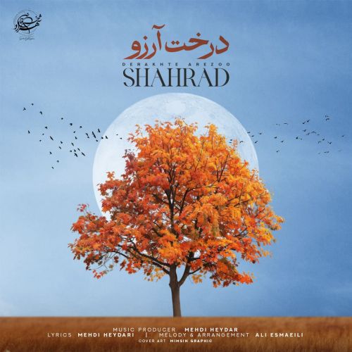 آهنگ درخت آرزو شهراد
